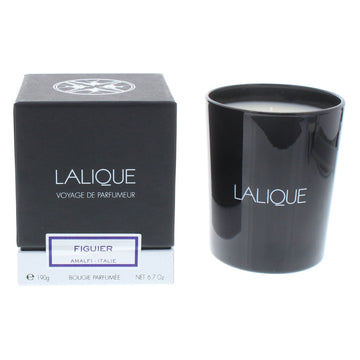 Lalique Candle - Figuier Amalfi