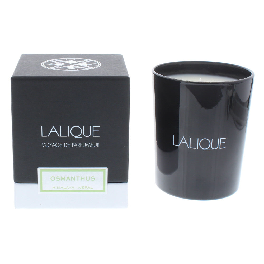 Lalique Candle - Osmanthus Himalaya